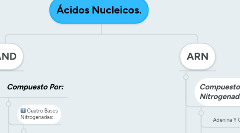 Mind Map: Ácidos Nucleicos.