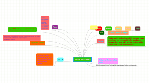 Mind Map: Timber Rattle Snake