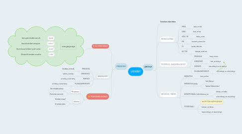 Mind Map: VERBIT