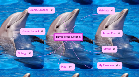 Mind Map: Bottle Nose Dolphin