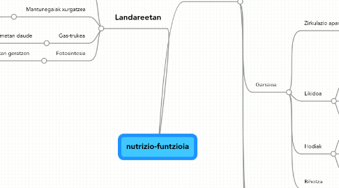 Mind Map: nutrizio-funtzioia