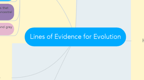 Mind Map: Lines of Evidence for Evolution