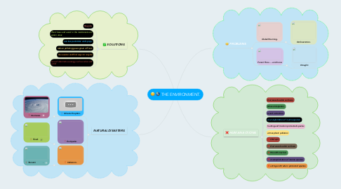 Mind Map: THE ENVIRONMENT.