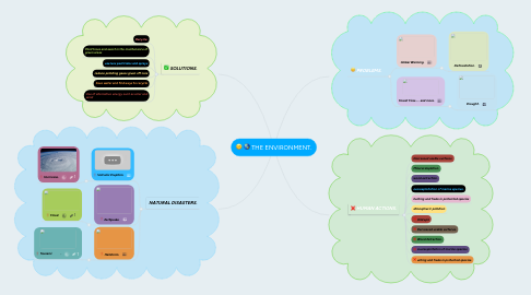 Mind Map: THE ENVIRONMENT.