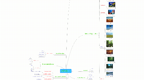 Mind Map: Chelsea's Mind Map Vocab Project