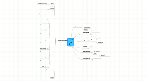 Mind Map: Amanda's Mind Map Vocab Project