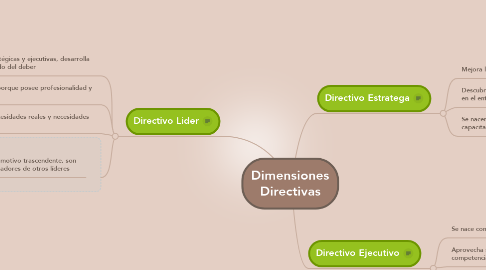 Mind Map: Dimensiones Directivas