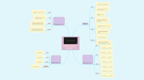 Mind Map: Entidades Financieras que Ofrecen Créditos Comerciales.