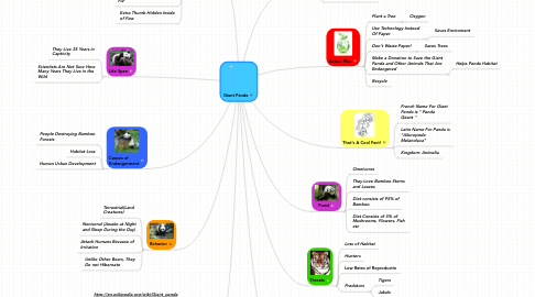 Mind Map: Giant Panda