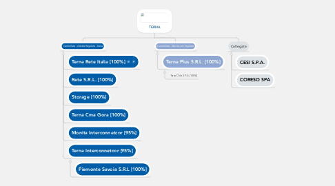 Mind Map: TERNA