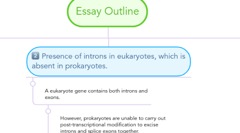 Mind Map: Essay Outline