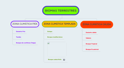 Mind Map: BIOMAS TERRESTRES