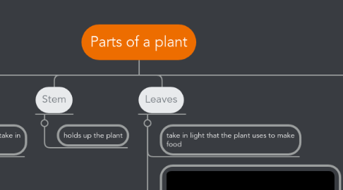 Mind Map: Parts of a plant