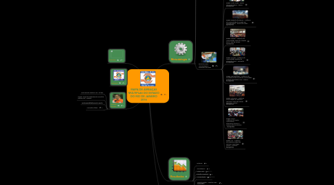 Mind Map: MAPA DE AMEAÇAS MÚLTIPLAS DO ESTADO DO RIO DE JANEIRO 2016