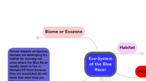 Mind Map: Eco-System of the Blue Racer