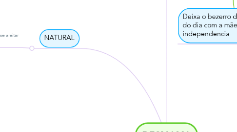 Mind Map: DESMAMA