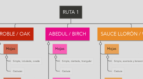 Mind Map: RUTA 1