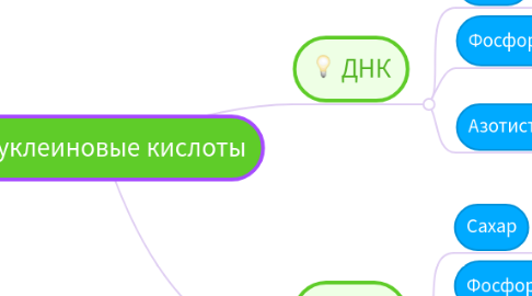 Mind Map: Нуклеиновые кислоты