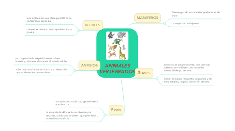 Mind Map: ANIMALES VERTEBRADOS