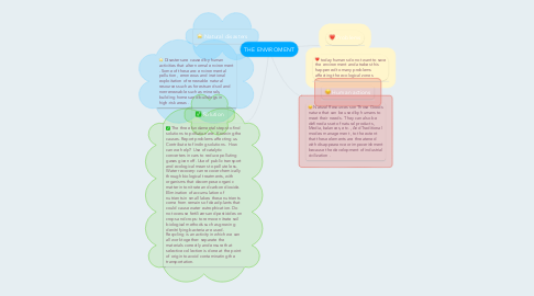 Mind Map: THE ENVIROMENT