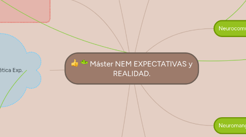 Mind Map: Máster NEM EXPECTATIVAS y REALIDAD.