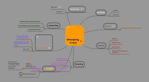 Mind Map: Whooping Crane