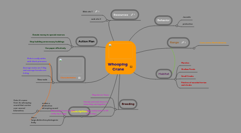 Mind Map: Whooping  Crane