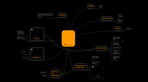 Mind Map: lion