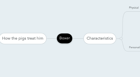 Mind Map: Boxer