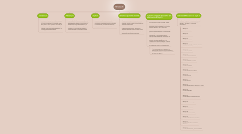 Mind Map: REGLA 8