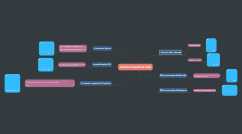 Mind Map: Cámaras Fotográficas DSLR