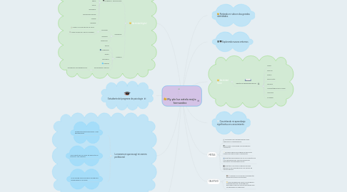 Mind Map: My ple luz estela mejia hernandez