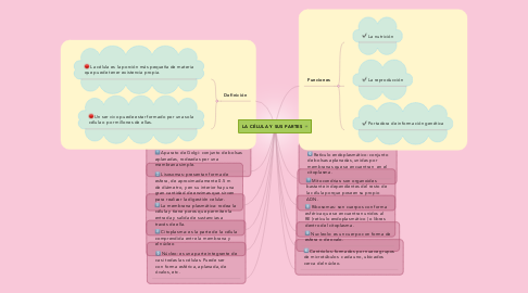 Mind Map: LA CÉLULA Y SUS PARTES