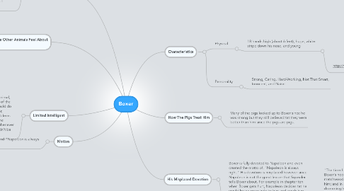 Mind Map: Boxer