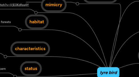 Mind Map: lyre bird