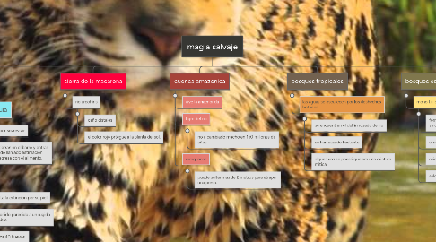 Mind Map: magia salvaje