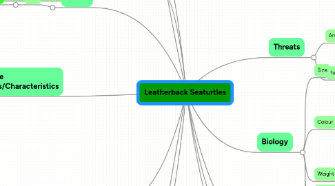 Mind Map: Leatherback Seaturtles