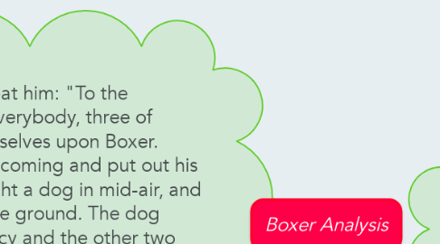 Mind Map: Boxer Analysis