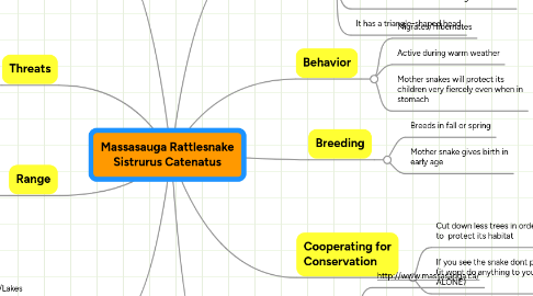 Mind Map: Massasauga Rattlesnake Sistrurus Catenatus