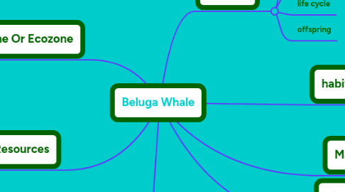 Mind Map: Beluga Whale