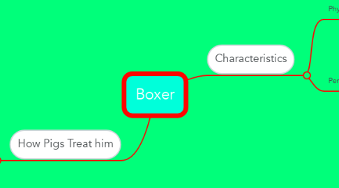 Mind Map: Boxer