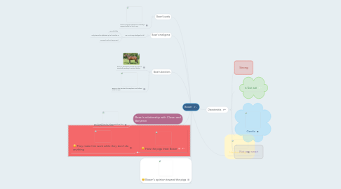 Mind Map: Boxer