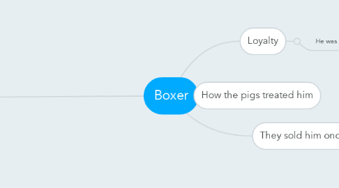 Mind Map: Boxer