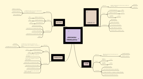 Mind Map: ENTIDADES FINANCIERAS