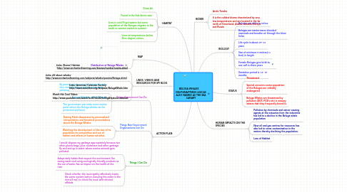 Mind Map: BELUGA WHALES       DELPHINAPTERUS LEUCAS ALSO NAMED AS THE SEA CANARY