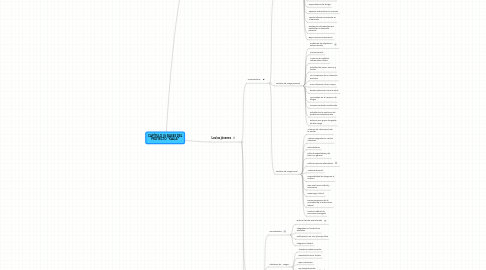 Mind Map: CAPÍTULO III: BASES DEL PROYECTO "KALLE"