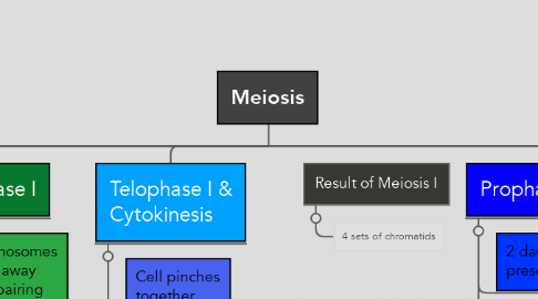 Mind Map: Meiosis