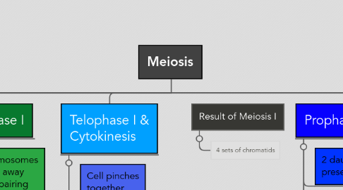 Mind Map: Meiosis