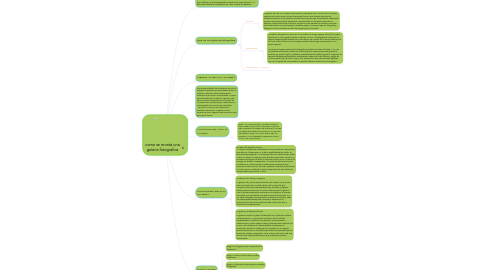 Mind Map: como se monta una galeria fotografica