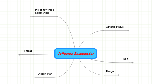 Mind Map: Jefferson Salamander